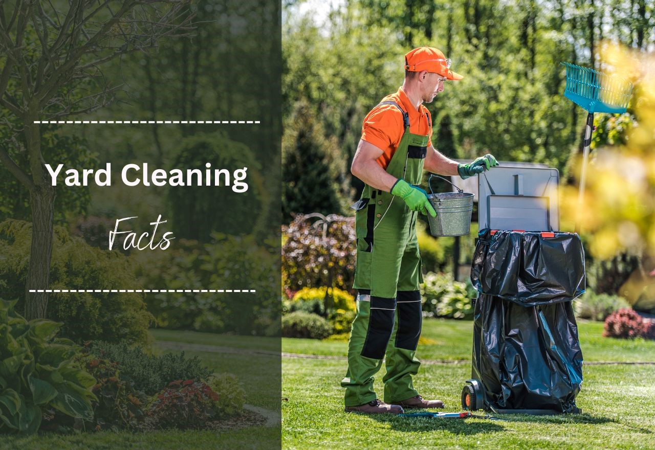 yard cleaning facts, everything you need to know!