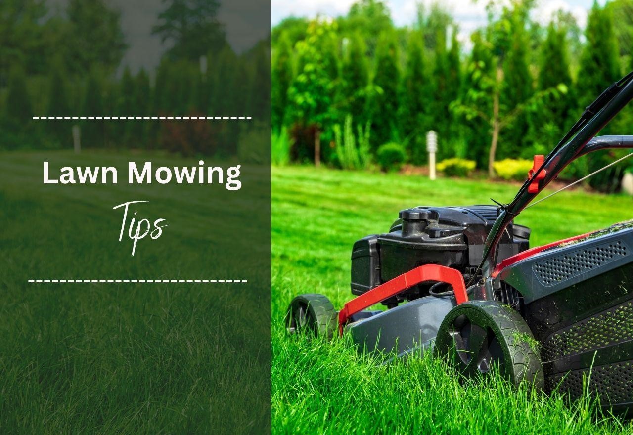 Discover the best lawn mowing facts