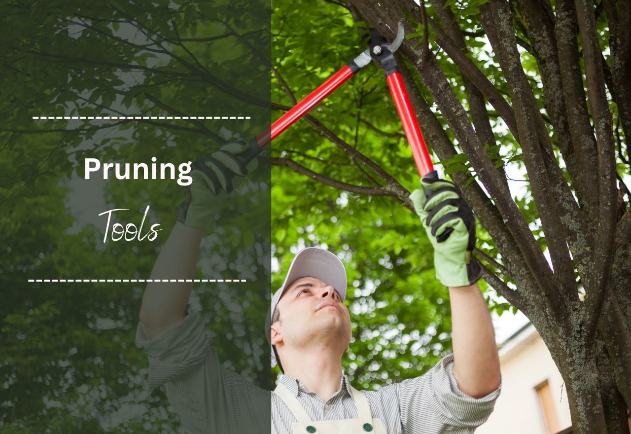 The best pruning tools that you need