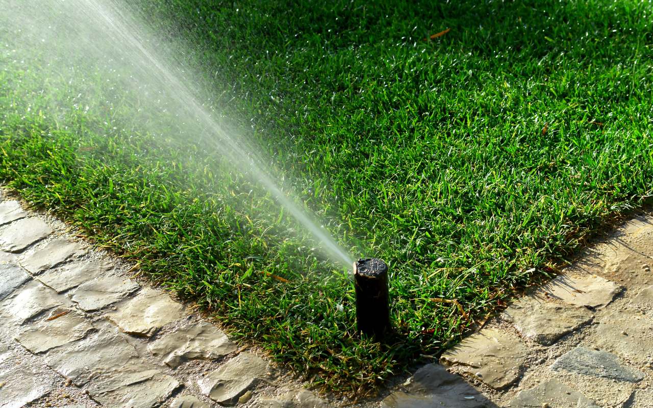 efficient-water-management-garden