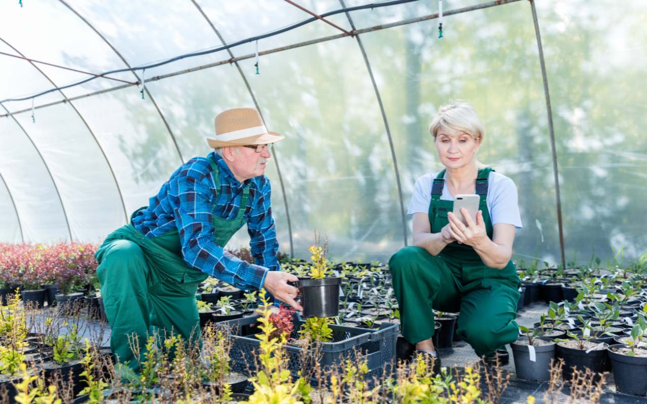 Choosing the right plants for a beautiful and thriving garden landscape.